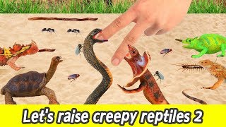 EN Lets raise creepy reptiles 2 reptile and insect names for children collecta figuresㅣCoCosToy [upl. by Whittemore]