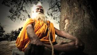 YOGA IS A Transformational Journey  movie trailer [upl. by Elokcin770]