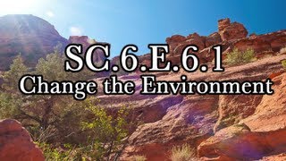 SC6E61 Changing the Environment [upl. by Zzahc]