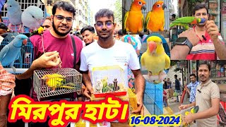 জমজমাট হয়ে উঠেছে মিরপুর এক পাখির হাট  যে কোন পাখির দাম জানুন মিরপুর 1 পাখির হাট থেকে  16082024 [upl. by Gabriell275]