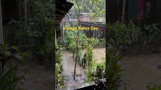 Beautiful rainy day rain viralreels viralshorts rainydayvillage viralvideo rainyweather [upl. by Flanagan]