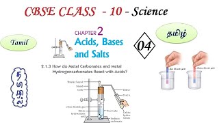 Acids Bases and Salts in Tamil  Part 04  Class 10 Science Chapter 2 Chemistry in Tamil CBSE [upl. by Alysoun]