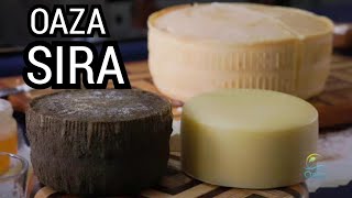 Oaza ep63  Oaza sira  SirArt 🧀 [upl. by Einalem]