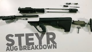 Steyr Aug Breakdown [upl. by Ahar618]