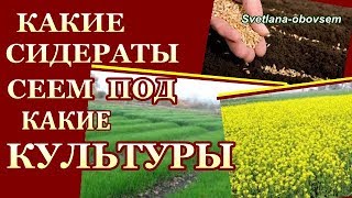 КАКИЕ СИДЕРАТЫ ПОД КАКИЕ ОВОЩИ НАДО СЕЯТЬ ОСЕНЬЮ СИДЕРАТЫ от кислотности почвы от вредителей [upl. by Jahdal]