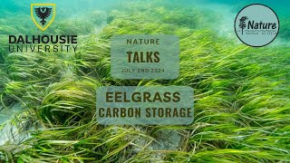 Nature Talks Community Eelgrass Restoration Initiative [upl. by Delisle]