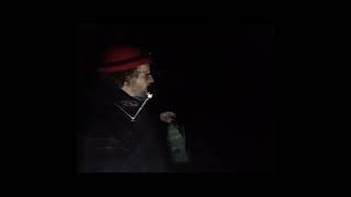 quot Bei Mir Bistu Shein quotshort1 harmonica nightwalking shortsvideo [upl. by Zobkiw]