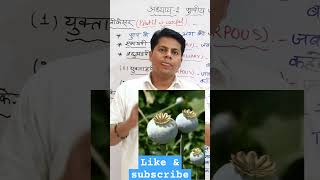 apocarpous and syncarpous in hindi ।। yuktandapi aur viyuktandapi ।। biologyclass12 upboardexam [upl. by Neira]