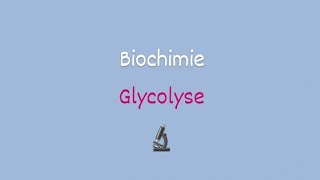 Biochimie approfondie 📍La Glycolyse [upl. by Aleahs210]