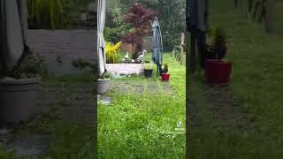 ⛈️ De forts orages éclatent dans le département de la Nièvre ce lundi📅 date  20052024 [upl. by Aissak]