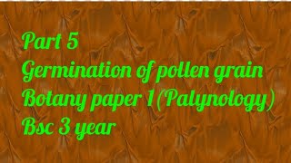 Part 5 germination of pollen grain Bsc 3 year paper 1 Palynology [upl. by Semmes411]