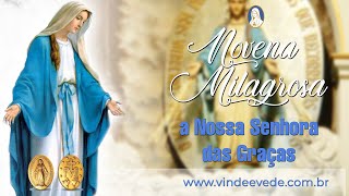 8 dia Novena Milagrosa 2023 [upl. by Kcered]