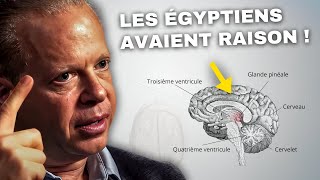 ÉTUDE CONFIRMÉE  Cet expert en neuroscience montre comment activer le troisième œil [upl. by Adekahs]