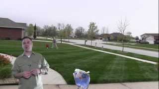 How Much Fertilizer Do I Put On The Lawn [upl. by Bride2]