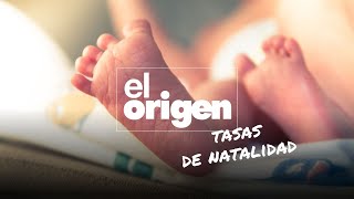 Escasez de bebés ¿Cómo impacta nuestro futuro  El Origen Ep 10 [upl. by Lechar]