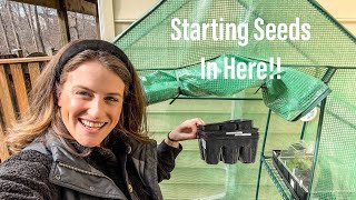 How To Start Seeds In An Unheated Greenhouse  What To Grow In A Mini Greenhouse [upl. by Middle]