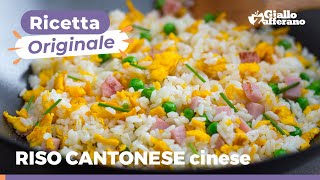 RISO ALLA CANTONESE  Ricetta autentica come in Cina [upl. by Cleo806]