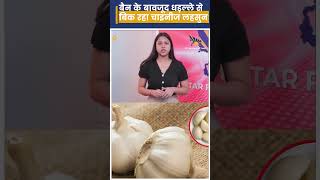 Ban के बावजूद धड़ल्ले से बिक रहा Chinese Garlic। [upl. by Dorita]