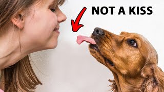 The Real Reason Dogs Lick You Is Disgusting [upl. by Acinorahs856]