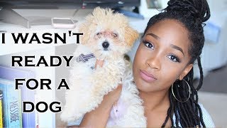 I Wasnt Ready For a Dog  Tips for New Puppy Owners  New Puppy Must Haves  Entrepreneur Life [upl. by Burrell790]