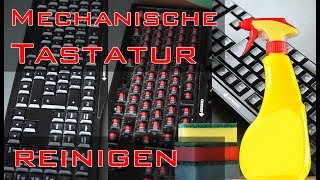 How to Mechanische Tastatur reinigen [upl. by Ahsal551]