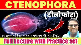 Ctenophora Animal Kingdom  Phylum ctenophora full lecture  ctenophoraMCQ neetbiology BSc [upl. by Ateloj]