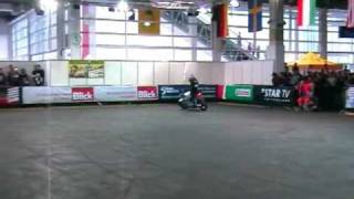 Mistrzostwa Świata Streetbike Freestyle Zurich  przejazd Rafała Pasierbka [upl. by Chaudoin738]