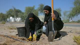 Ghaf Tree planting  CSR team activity in Dubai UAE by Companies for Good [upl. by Emina793]