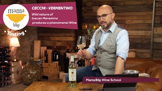 Vermentino  La Mora  Checchi  Wine tasting with Filippo Bartolotta [upl. by Margaretta857]