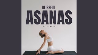 Vinyasa Flow Music [upl. by Noslien264]