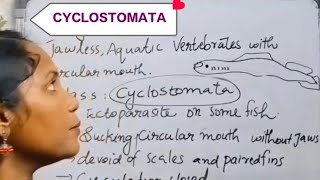 Class Cyclostomata in plus one zoology Chapter2 Animal kingdomzoology education plusonestudent [upl. by Acsecnarf]