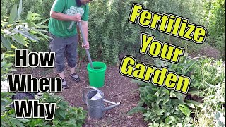 How To Fertilize Your Garden The Correct Way  How When amp Why [upl. by Llewon]