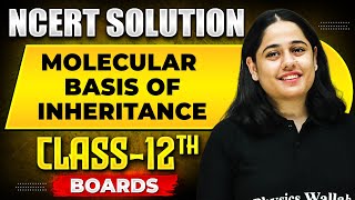 MOLECULAR BASIS OF INHERITANCE  NCERT Solutions  BOTANY Chapter 03  Class12th Boards [upl. by Corly136]