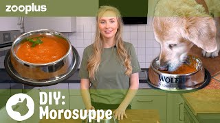 Morosche Karottensuppe für den Hund  Tierisch einfach DIY mit Luisa [upl. by Hidie]