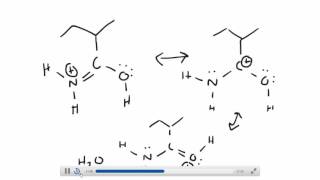 Carboxylic Acid from Hydrolysis of a Nitrile [upl. by Gowon]