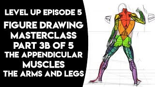 Episode 5 Part 3B The Appendicular Muscles [upl. by Enaz]