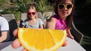 California Oranges Five Varieties for Taste Review Jan 2021 [upl. by Bealle813]