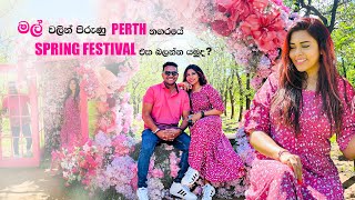 🌸 Exploring the SampR Blossom Festival in Perth Australia  kelumpipuni 🌷✨ [upl. by Anazraf]