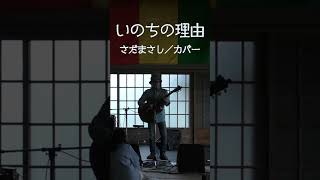 いのちの理由（さだまさし／カバー） [upl. by Reseda]