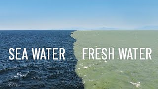 Fresh Water Meets Sea Water – Boundary Explained [upl. by Josefa]