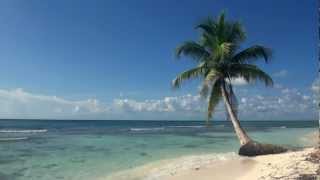 Relaxing 3 Hour Video of A Tropical Beach with Blue Sky White Sand and Palm Tree [upl. by Bowne]