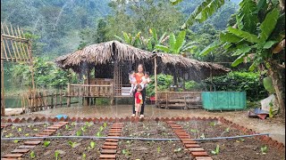 Single Mother  Building a Vegetable Garden With Automatic Watering System  Ly tieu tieu [upl. by Berkow258]