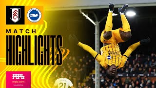 HIGHLIGHTS  Fulham v Brighton  Premier League [upl. by Hartmunn]