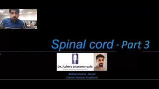 Spinal cordPart 3 [upl. by Lach]