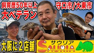 【爬虫類店紹介】飼育歴50年以上のオーナーがいるサウリア（SAURIA）に潜入！ [upl. by Mellicent]