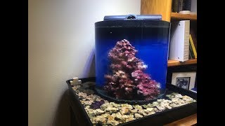 DIY Overflowing Infinity Aquarium [upl. by Nalim]