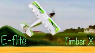 Eflight TIMBER X  3D RC BUSH PLANE No Slats No Flaps Used [upl. by Isnan216]