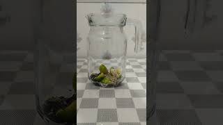 Lets make detox water 🥤🩶🤍 weightloss detoxjuice [upl. by Adikam99]