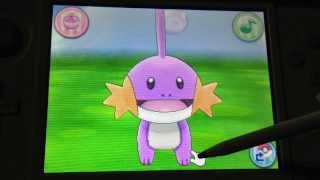 SHINY Damp Mudkip After 534 Eggs Via Masuda Method [upl. by Aenitsirhc]