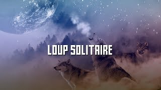 PNL AmbientCloud Type Beat  quotLoup Solitairequot ProdLSB [upl. by Owen]